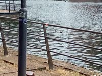 bilder/galerie/sommer23/innenhafen 22062023 (7).jpg